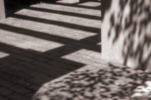 filtered light - pinhole photograph