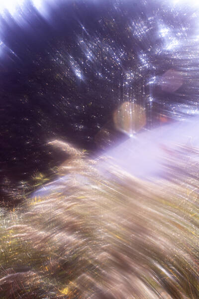 Vaseline Lens, Michael Levy