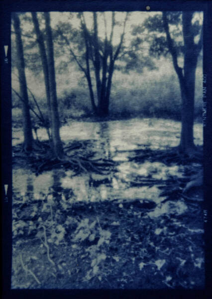 Van Cortland Park, the Bronx