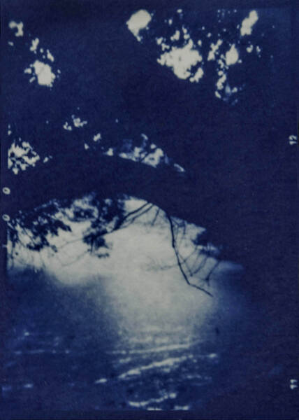 Under a Dark Tree, Prospect Park